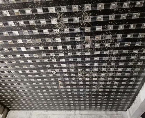 专业赋能安全 安徽程固桥梁与地基加固的匠心实践